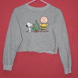 Gray long sleeve crop “Charlie Brown” sweater